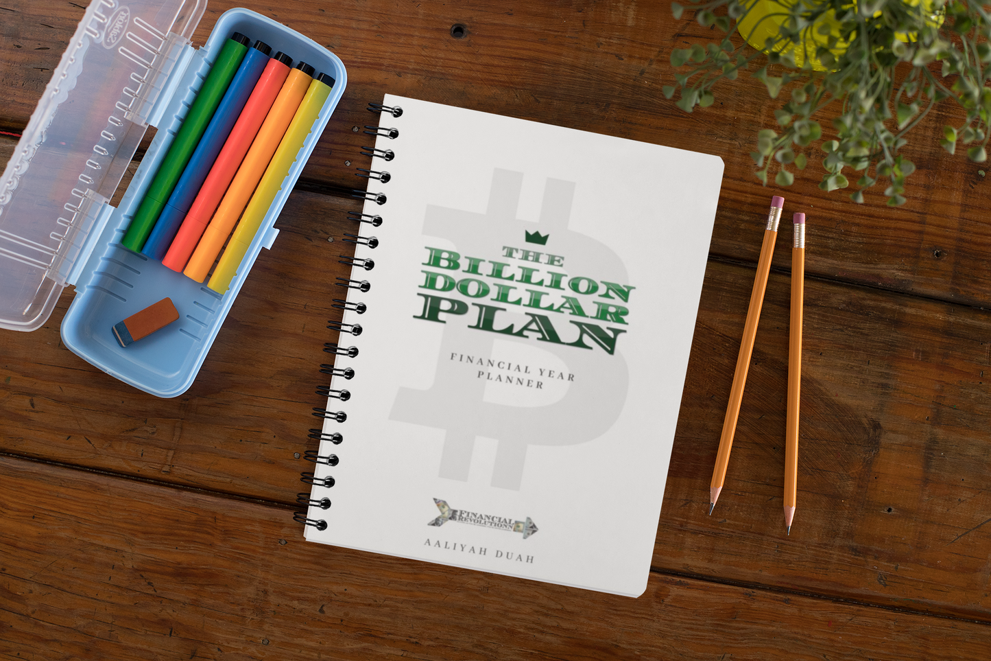 The Billion Dollar Plan: Financial Planner